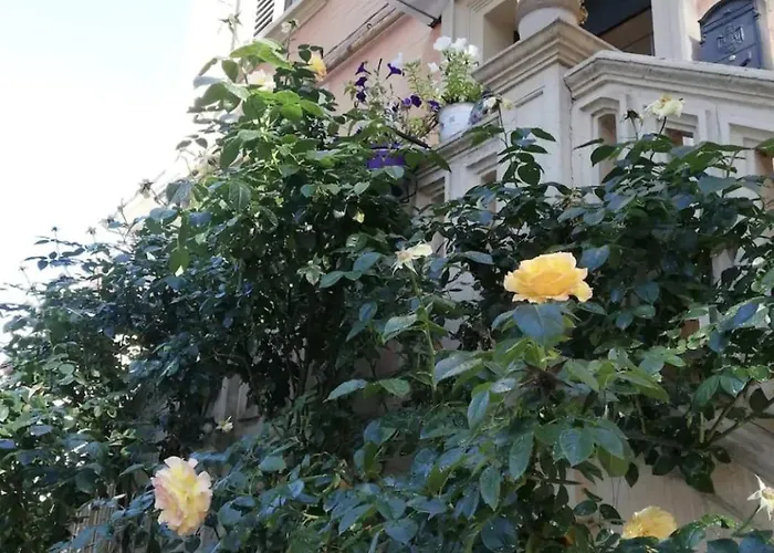 10 Minuti Dal Centro E Dal Sant'orsola -palazzo Storico