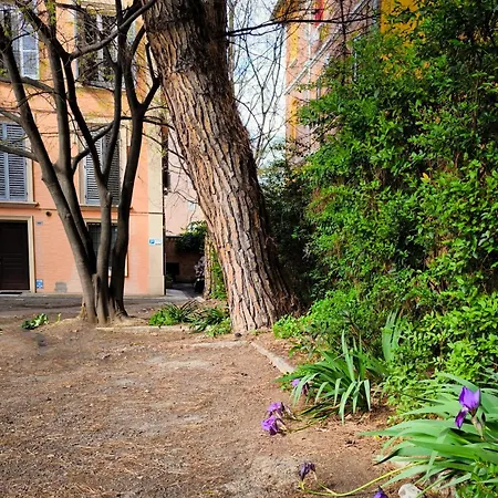 10 Minuti Dal Centro E Dal Sant'Orsola -Palazzo Storico